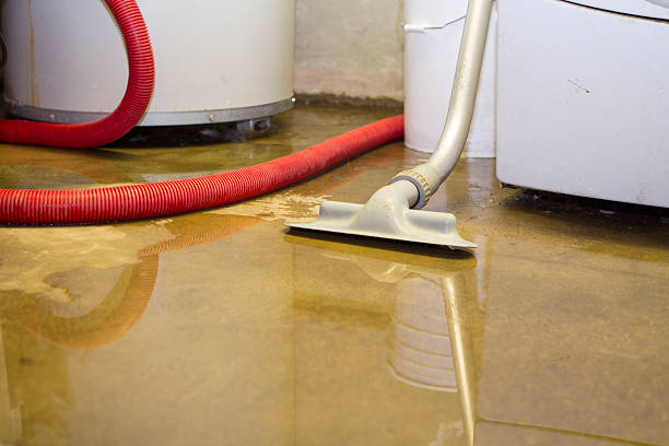 Best Local water damage restoration  in Mendota, CA