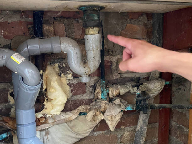 Best Water damage restoration mold remediation  in Mendota, CA
