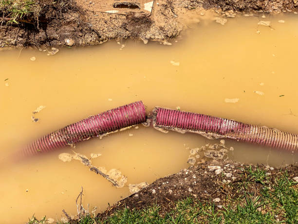 Best 24/7 water damage repair  in Mendota, CA