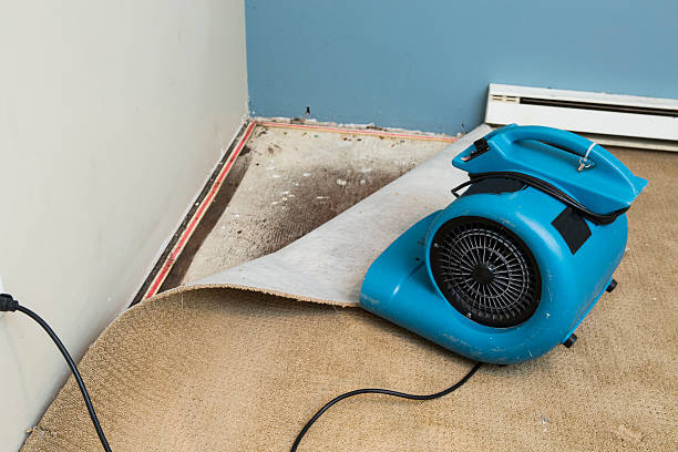 Best Water damage restoration near me  in Mendota, CA